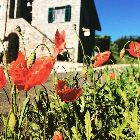 Agriturismo Angio Nel Cere Bracelli 외부 사진