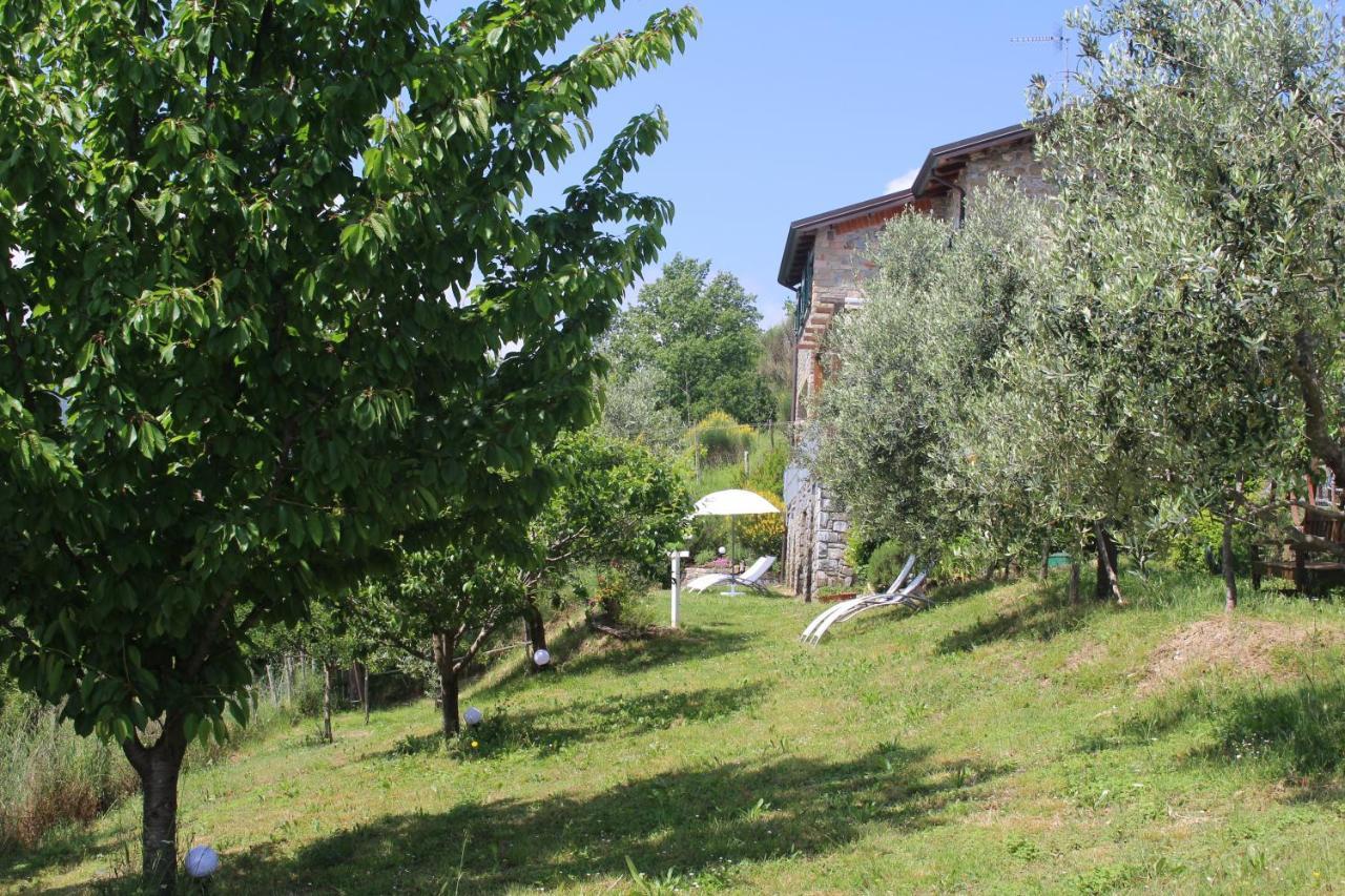 Agriturismo Angio Nel Cere Bracelli 외부 사진
