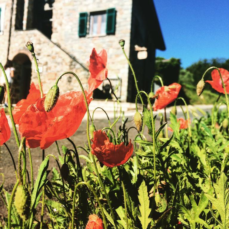 Agriturismo Angio Nel Cere Bracelli 외부 사진