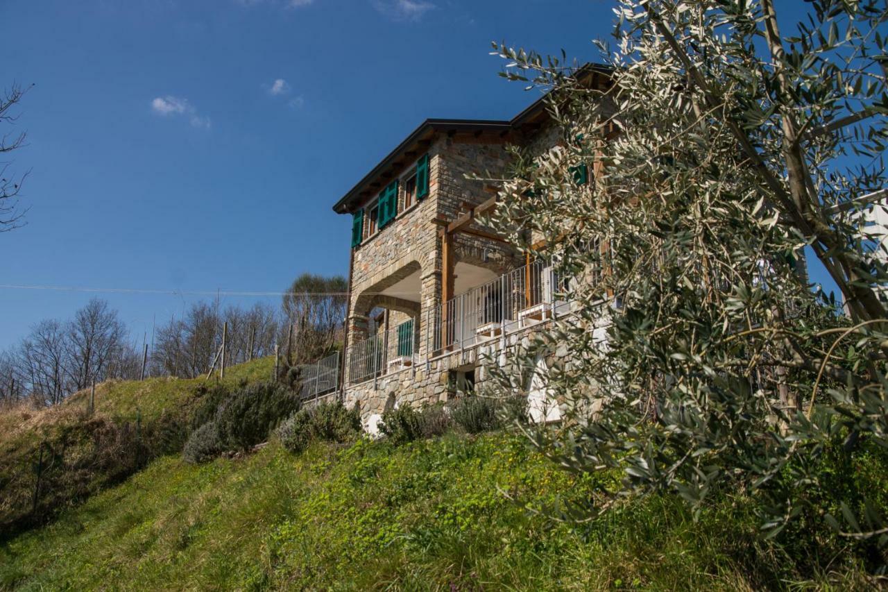 Agriturismo Angio Nel Cere Bracelli 외부 사진